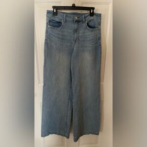 American Eagle Outfitters Blue Flare Wide Leg Jeans